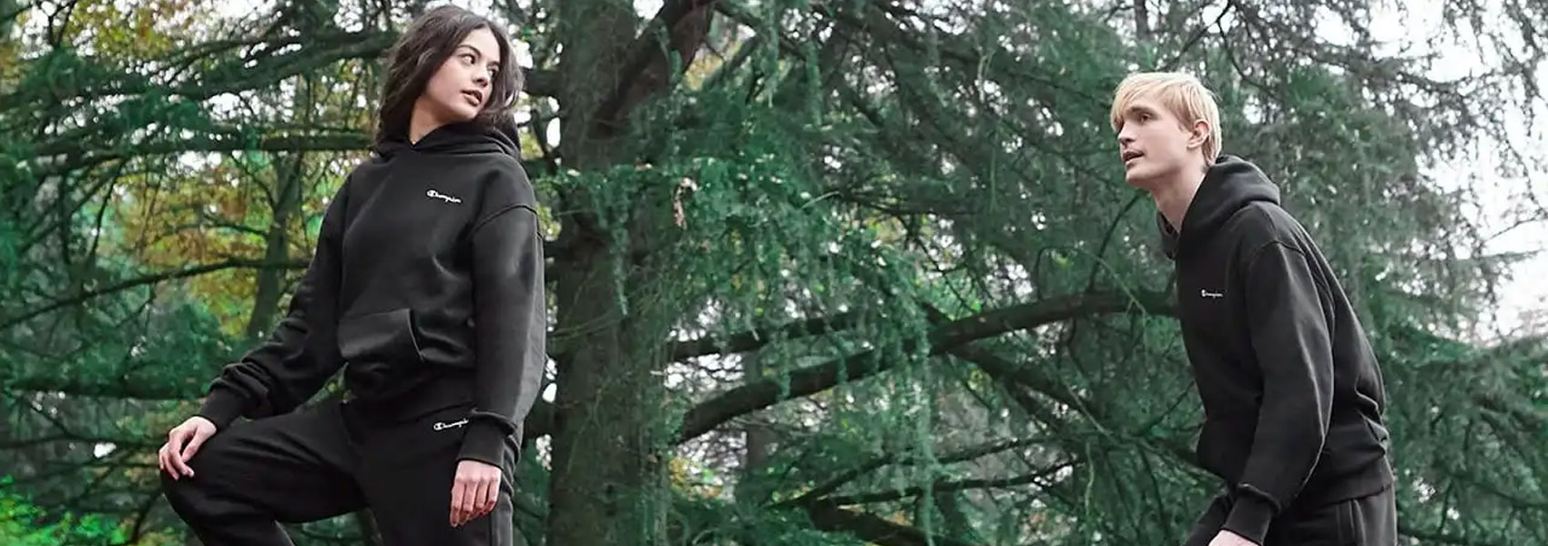 Champion’s Road to Sustainability